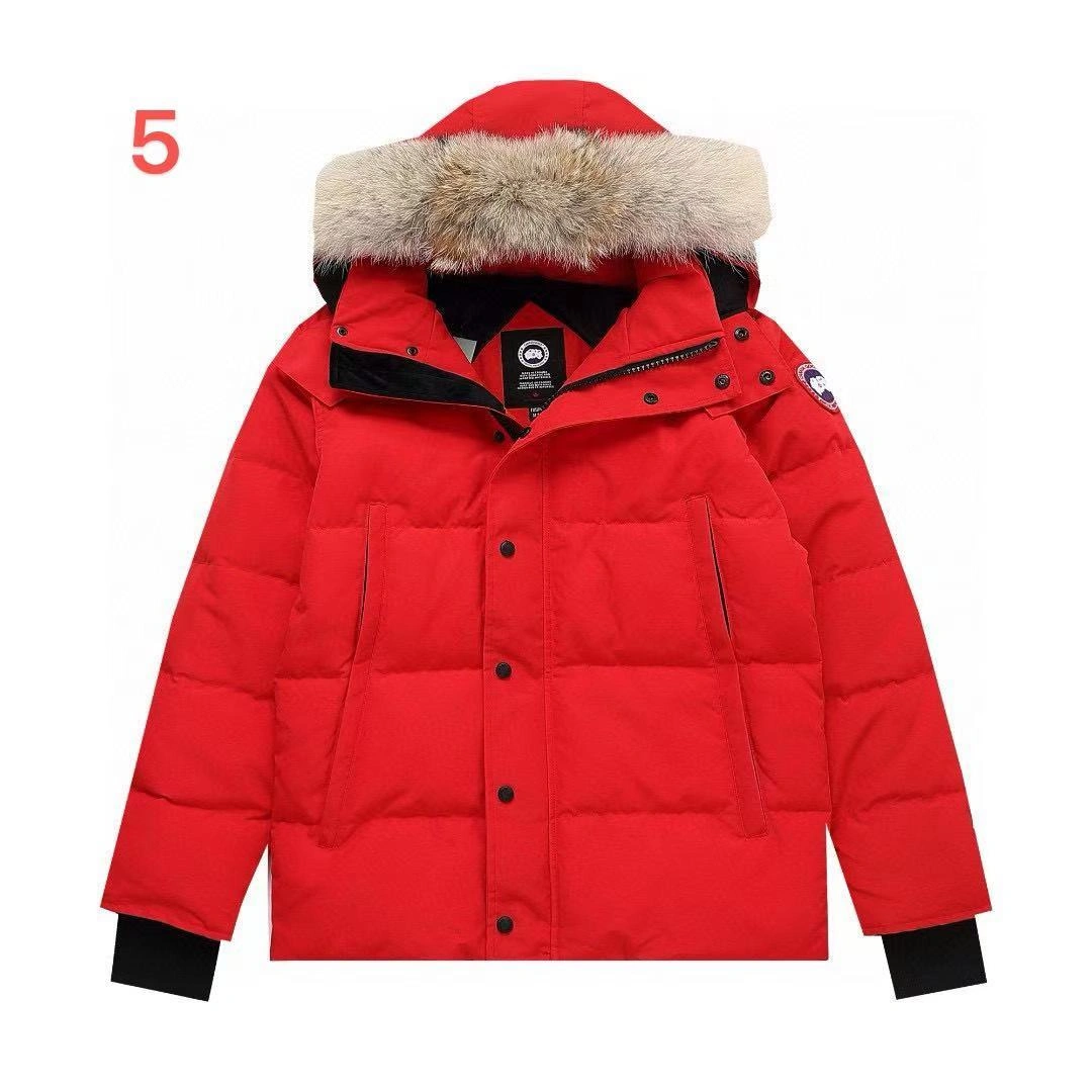 wg.luxury- 6oos5 7Colour item:D-F210J2598H-7